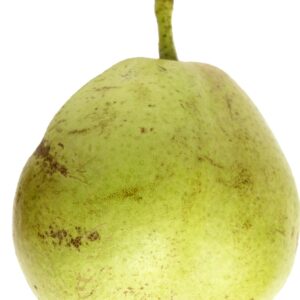 Blanquilla de Aranjuez