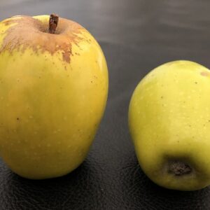 camuesa de Carcabuey