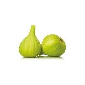 Picholetera o Pezón largo