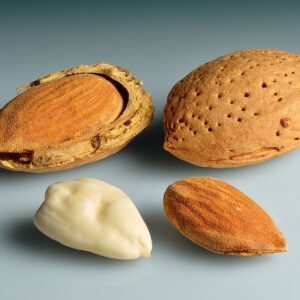 Almendras con cáscara, abierta y pelada
