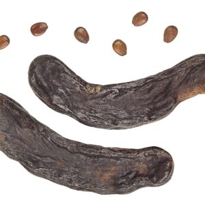 Algarrobas secas con semillas