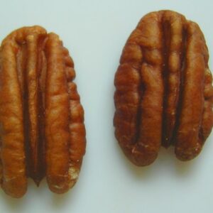 Nuez pecana pelada
