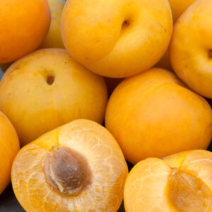 Plumcot anaranjado