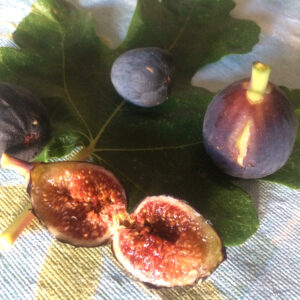 Higos de la variedad Colar o Albacor