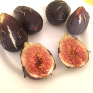 Higos de la variedad Napolitana Negra